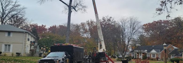 Ohio Tree Care