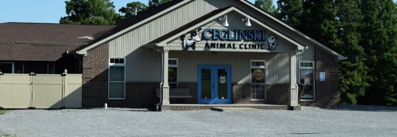 Animal Hospital, Paducah, KY, US