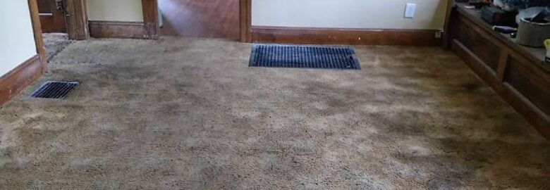 Mark May Carpet Cleaning